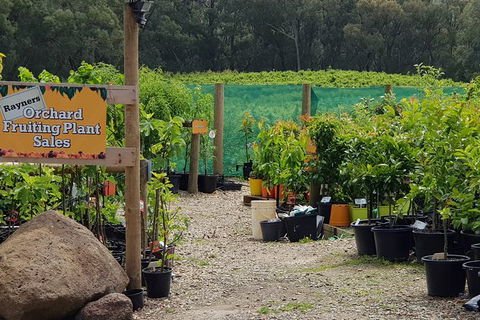 Yarra Valley Wineries And Rayners Orchard Tour From Melbourne - Tourism Canberra 0