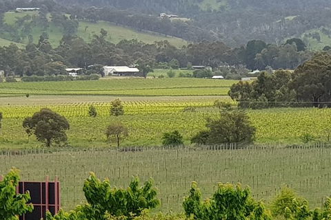 Yarra Valley Wineries And Rayners Orchard Tour From Melbourne - Tourism Canberra 2