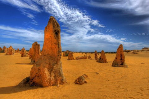 Pinnacles Desert, New Norcia And Wildflowers Day Tour From Perth - Tourism Canberra 4