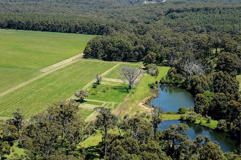 Half Day Wine & Food Tour - Tourism Canberra 6