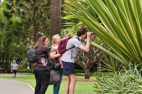 Perth City, Laneways And Hidden Gems, Photographic Walk - Tourism Canberra 3