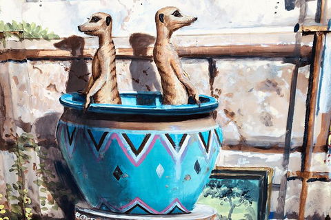 Photography Tour Of Historical Fremantle And Street Art. - Tourism Canberra 4