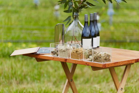 Organic Vineyard/Farm Tour - Tourism Canberra 3