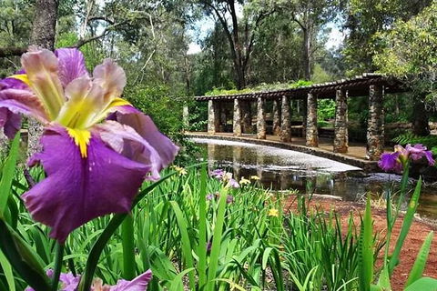 Perth Hills Explorer (Private) Day Tour - Tourism Canberra 35