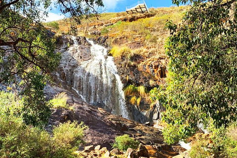 Perth Hills Explorer (Private) Day Tour - Tourism Canberra 4