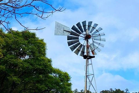 Perth Hills Explorer (Private) Day Tour - Tourism Canberra 27
