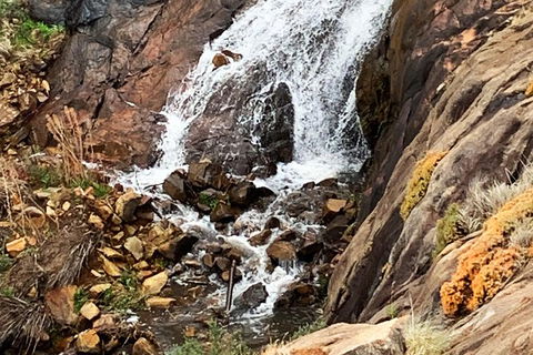 Perth Hills Explorer (Private) Day Tour - Tourism Canberra 19