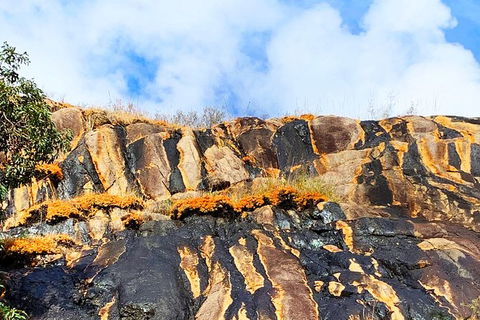 Perth Hills Explorer (Private) Day Tour - Tourism Canberra 2