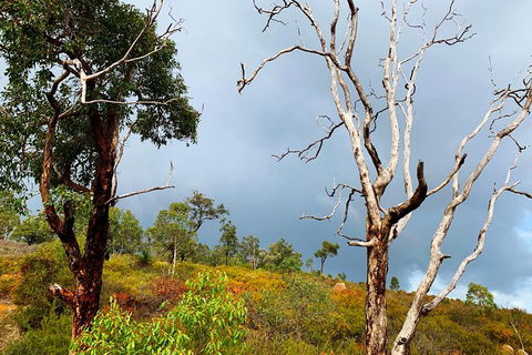 Perth Hills Explorer (Private) Day Tour - Tourism Canberra 33