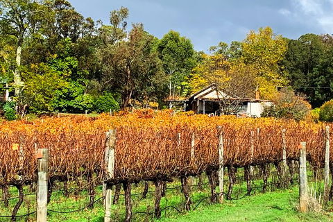 Perth Hills Explorer (Private) Day Tour - Tourism Canberra 32