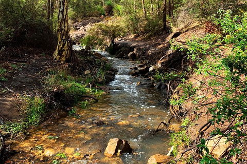 Perth Hills Explorer (Private) Day Tour - Tourism Canberra 26