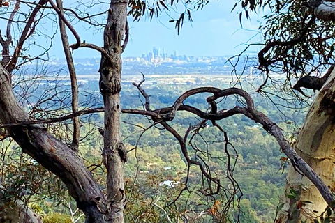 Perth Hills Explorer (Private) Day Tour - Tourism Canberra 7