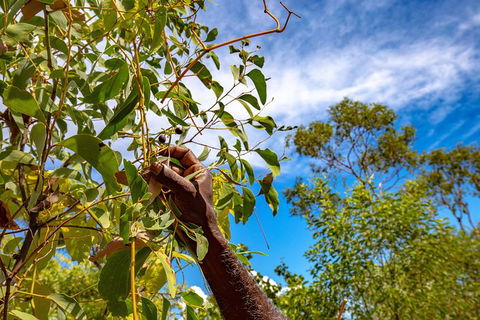 Mitchell Falls And Kimberley Coastal Camp (3night) - Tourism Canberra 2