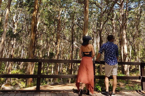 Private Tour Margaret River - Tourism Canberra 7