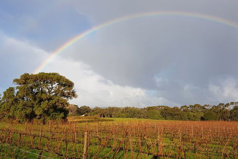 Private Tour Margaret River - Tourism Canberra 5