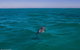 Ningaloo Immersion Private Charter - thumb 1