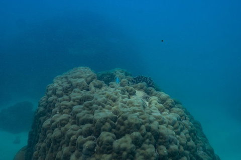 Ningaloo Immersion Private Charter - Tourism Canberra 4