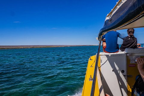 Ningaloo Immersion Private Charter - Tourism Canberra 0