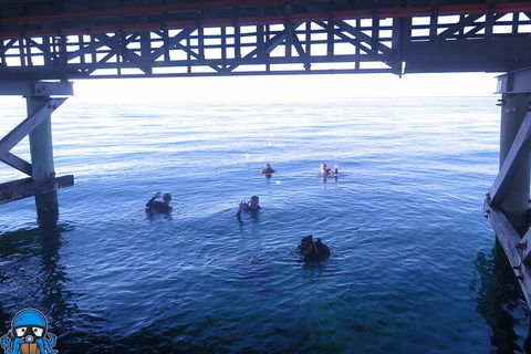 PADI Open Water Course - Tourism Canberra 3