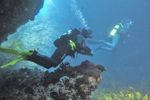 PADI Open Water Course - Tourism Canberra 2