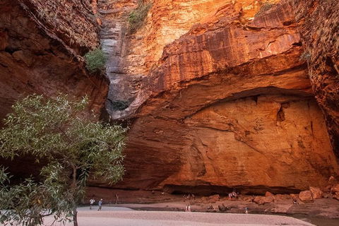 Bungles Day Trek Extended (with Echidna Chasm) - Tourism Canberra 0