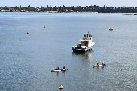 Cliffs And Caves Kayak Tour In Swan River - Tourism Canberra 5