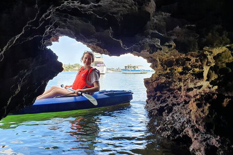 Cliffs And Caves Kayak Tour In Swan River - Tourism Canberra 3
