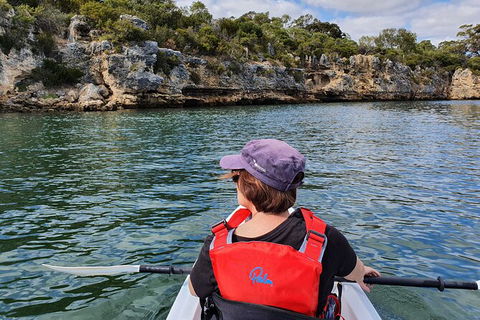 Cliffs And Caves Kayak Tour In Swan River - Tourism Canberra 1