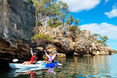 Cliffs And Caves Kayak Tour In Swan River - Tourism Canberra 0