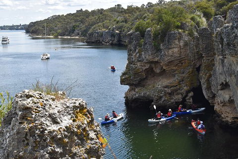 Cliffs And Caves Kayak Tour In Swan River - Tourism Canberra 2