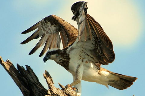 Ord River Discoverer With Sunset - Tourism Canberra 1