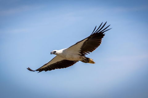 Ord River Discoverer With Sunset - Tourism Canberra 4