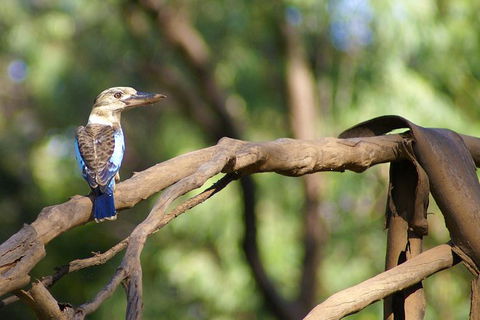 Ord River Experience With Riverside Lunch - Tourism Canberra 1