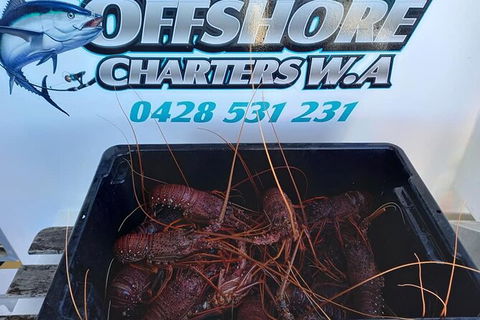 Lobster Fishing Tour At Geraldton - Tourism Canberra 0