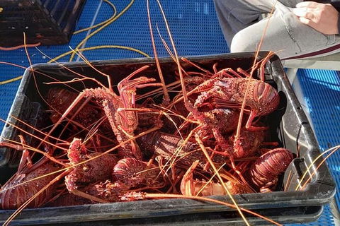 Lobster Fishing Tour At Geraldton - Tourism Canberra 6
