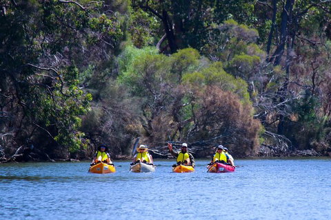 Private Guided River Kayak Tour - Tourism Canberra 6