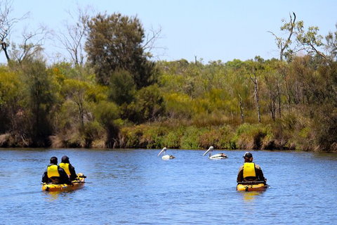 Private Guided River Kayak Tour - Tourism Canberra 4