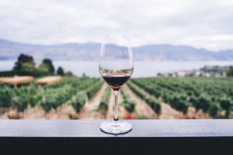 Full-Day Gourmet Wine Tour With Pick Up And Lunch - Tourism Canberra 1