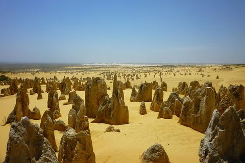 Pinnacles Desert Private Tour - Tourism Canberra 5