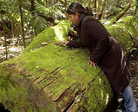 Glen Innes NSW Tourism Canberra