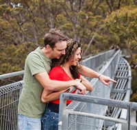 Valley of the Giants Tree Top Walk - Tourism Canberra