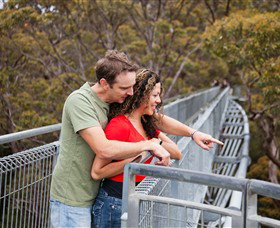 Valley Of The Giants Tree Top Walk - Tourism Canberra 0