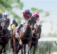 Colac Turf Club - Tourism Canberra