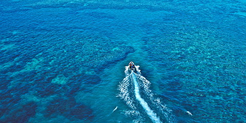 Ocean Free & Ocean Freedom - Cairns Premier Reef And Island Tours - Tourism Canberra 4