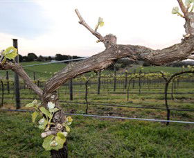 Nalbra Estate Wines - Tourism Canberra 0