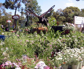 Zanthorrea Nursery - Tourism Canberra 0