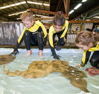 Australian Shark and Ray Centre - Tourism Canberra