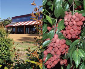 Bushfood Factory And Cafe - Tourism Canberra 0