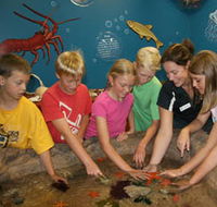 Naturaliste Marine Discovery Centre - Tourism Canberra