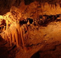 Yanchep National Park - Crystal Cave - Tourism Canberra